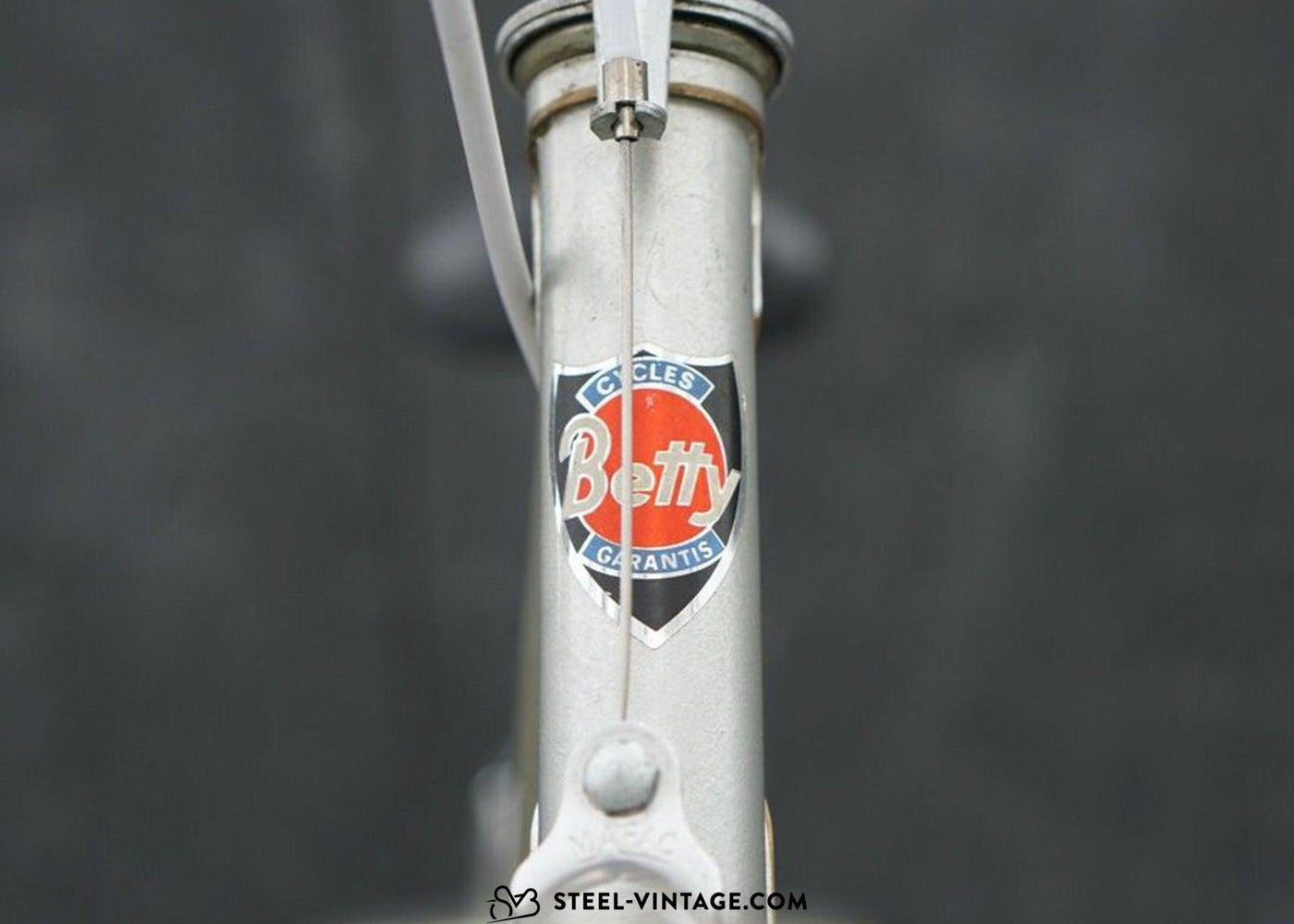 Betty Classic French Ladies Bike 1970s - Steel Vintage Bikes