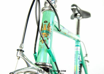 Bianchi Ti- Megatube Titanium Bicycle 1990s - Steel Vintage Bikes
