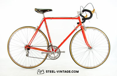 Boschetti Rino Multi Shape Classic Bicycle from 1991 | Steel Vintage Bikes