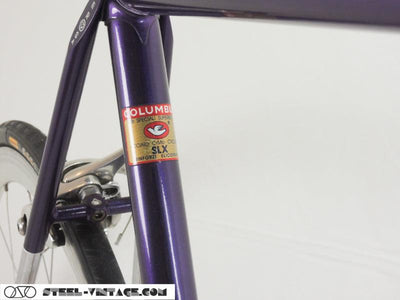 Classic De Rosa Bicycle with Campagnolo Record | Steel Vintage Bikes