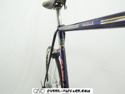 Classic Gazelle Bicycle with Campagnolo | Steel Vintage Bikes