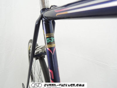 Classic Gazelle Bicycle with Campagnolo | Steel Vintage Bikes