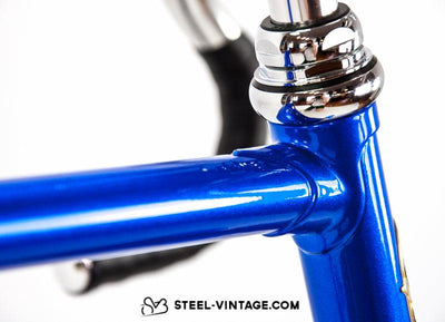 Classic Track-Style Fixed Bike | Steel Vintage Bikes