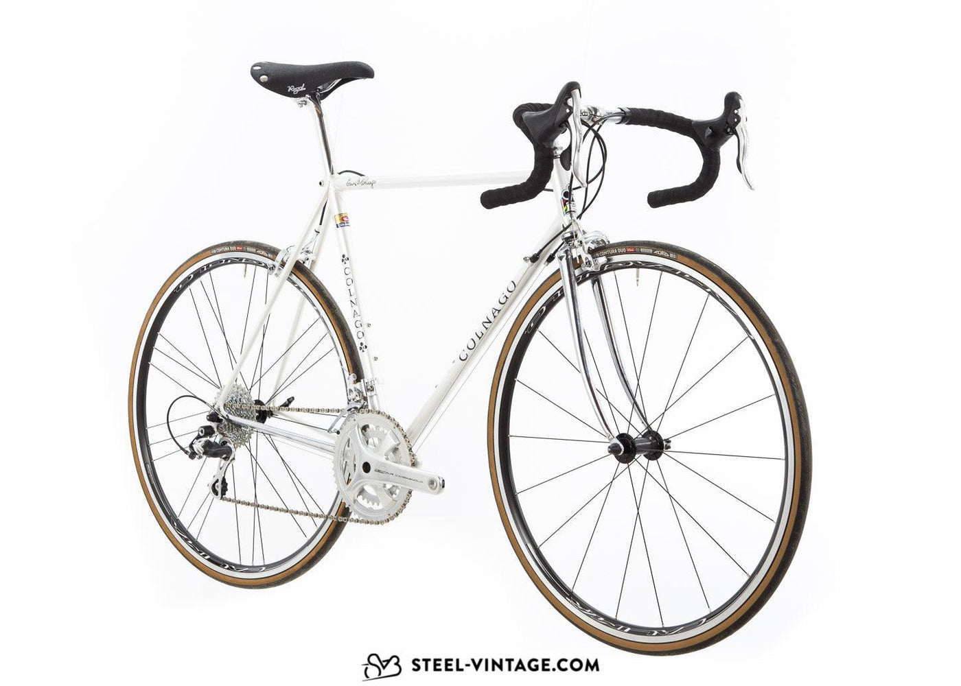 Colnago Avorio Neo-Retro Bicycle Campagnolo Centaur 11s | Steel Vintage Bikes