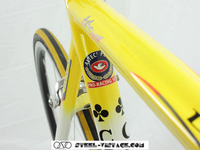 Colnago Dream Art Decor Bicycle with Campagnolo Record | Steel Vintage Bikes
