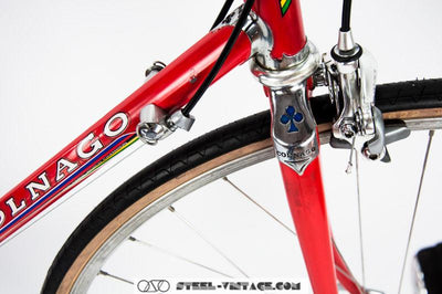 Colnago Master Classic Bicycle | Steel Vintage Bikes