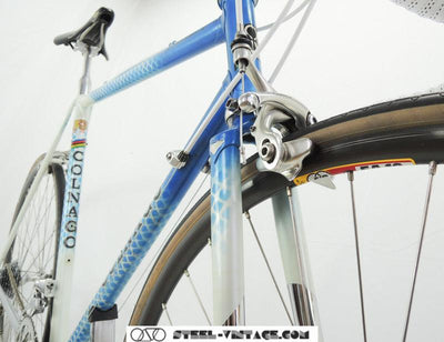 Colnago SLX Classic Bicycle with Campagnolo Chorus | Steel Vintage Bikes
