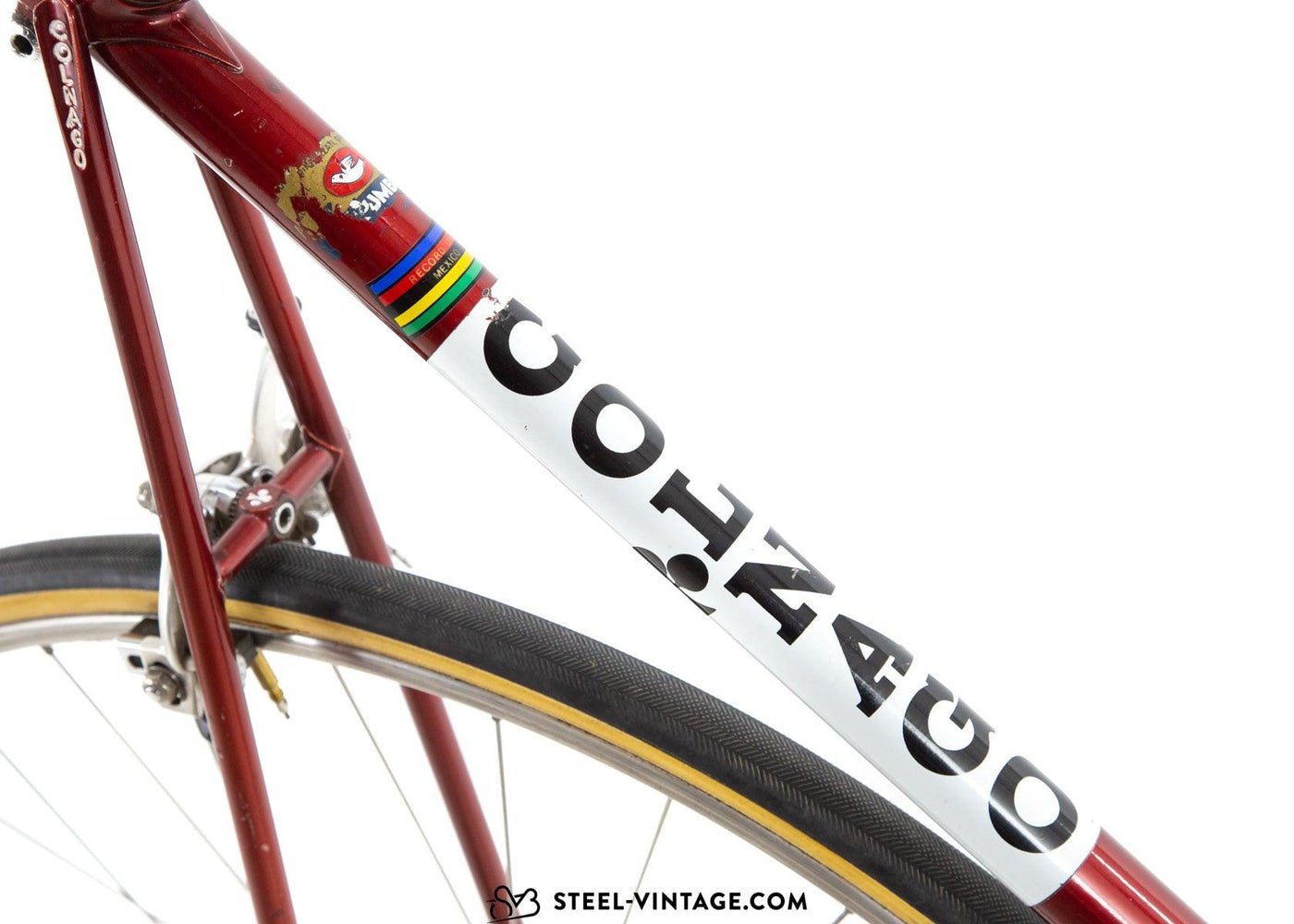 Colnago Super Saronni Red Road Bicycle 1982 - Steel Vintage Bikes