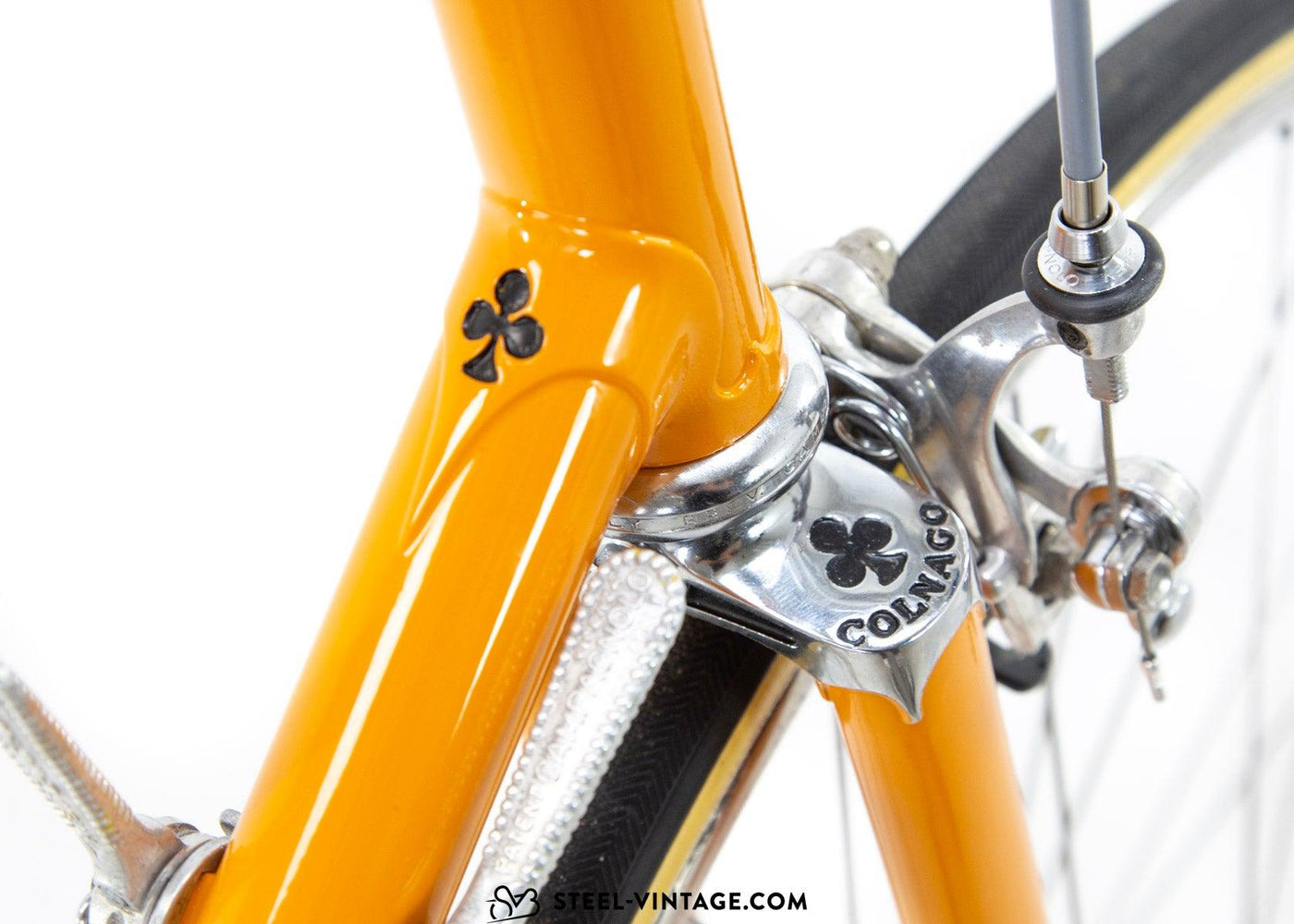 Colnago Super Team Molteni Road Bike 1977 - Steel Vintage Bikes