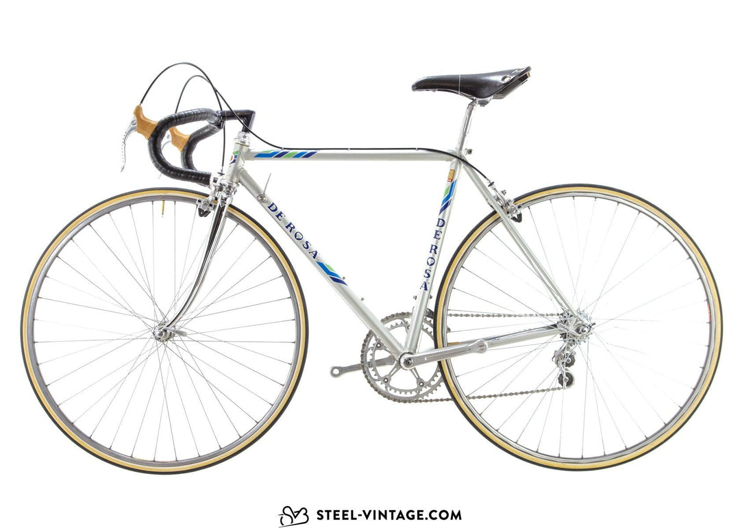 DE ROSA 「デローザ」 PROFESSIONAL 1990年頃 ロードバイク ビンテージ クロモリ 3722092500001 - ロードバイク