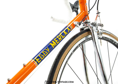 Eddy Merckx Corsa Extra Team Molteni Neo Retro Road Bike Campagnolo Centaur 11s - Steel Vintage Bikes