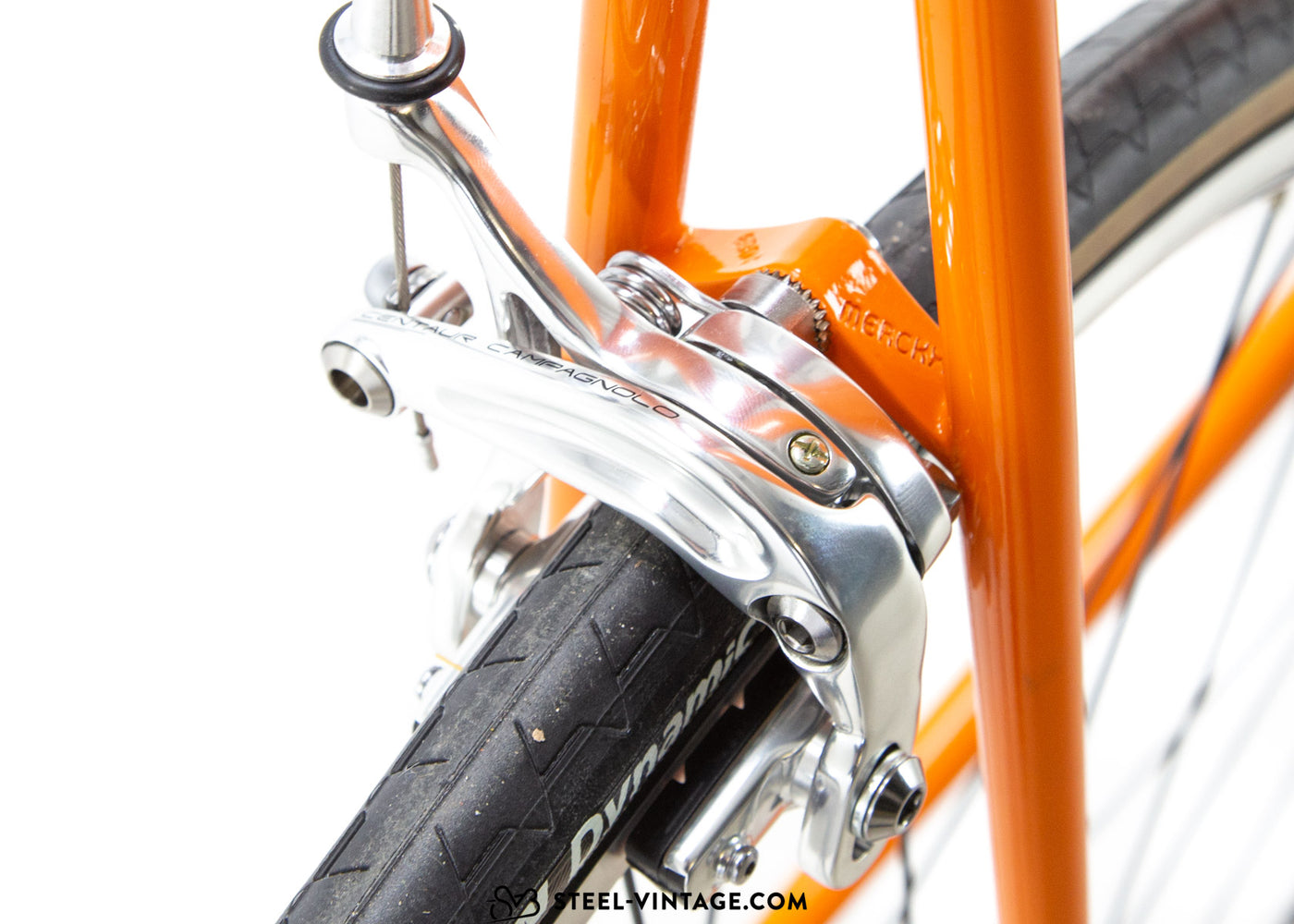 Corso Eddy Merckx Squadra Molteni Neo Retro Bicicletta da strada Campagnolo Centaur 11s