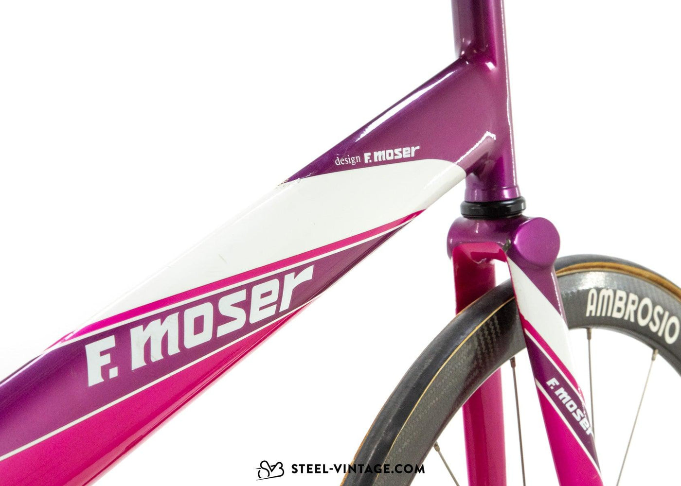 Francesco Moser Personal Veteran Hour Record Time Trial Bicycle 1994 - Steel Vintage Bikes
