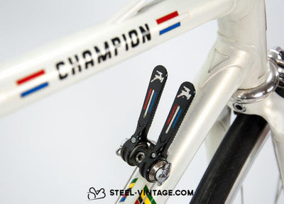 Gazelle Champion AA Super Reynolds 531 | Steel Vintage Bikes