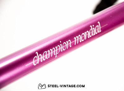 Gazelle Champion Mondial AA-Special | Steel Vintage Bikes