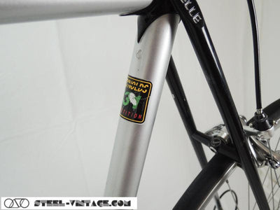 Gazelle Champion Mondial Reynolds 531 Steel | Steel Vintage Bikes