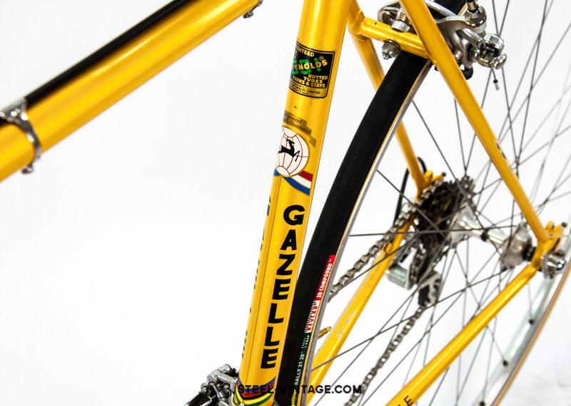 Gazelle Champion Vintage Racing Bike from 1977 | Steel Vintage Bikes