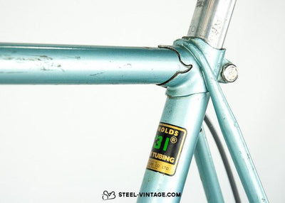 Gazelle Tour de l'Avenir Classic Bicycle - Steel Vintage Bikes