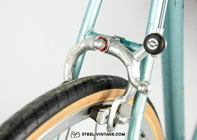 Gazelle Tour de l'Avenir Classic Bicycle - Steel Vintage Bikes