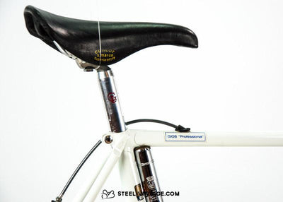 Gios Professional Classic Roadbike1984 - Steel Vintage Bikes