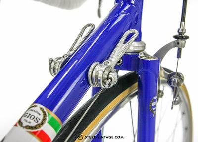 Gios Torino Super Record Bicycle 1979 - Steel Vintage Bikes