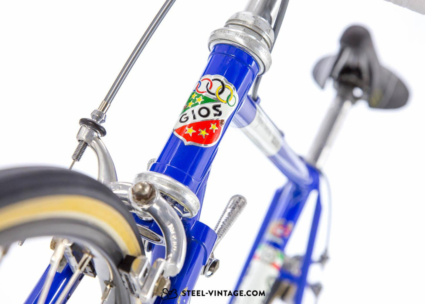 Gios Torino Super Record Bicycle 1979 - Steel Vintage Bikes