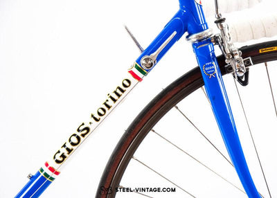 Gios Torino Super Record Classic Bicycle 1979 - Steel Vintage Bikes