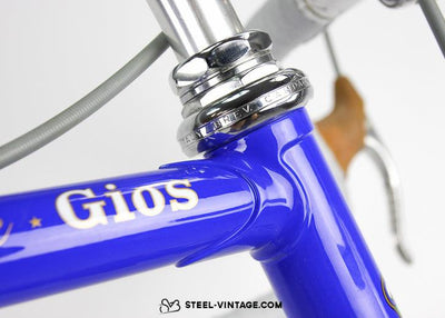 Gios Torino Super Record Replica De Vlaeminck - Steel Vintage Bikes