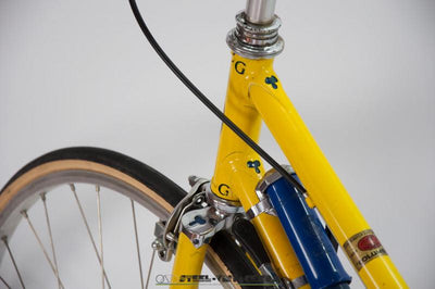 Grandis Campione del Mondo Female Bicycle | Steel Vintage Bikes