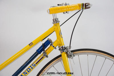 Grandis Campione del Mondo Female Bicycle | Steel Vintage Bikes