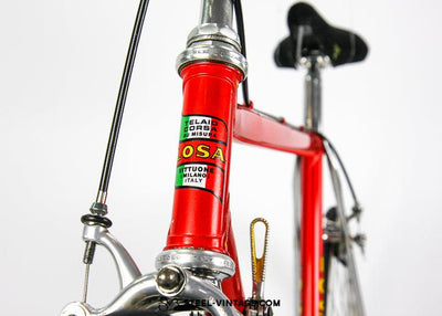 Losa Professional 1980s Super Record - Steel Vintage Bikes