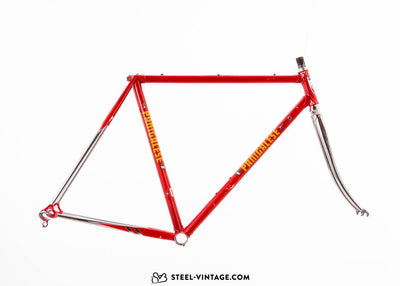 Panigalese Vintage Frameset - Steel Vintage Bikes