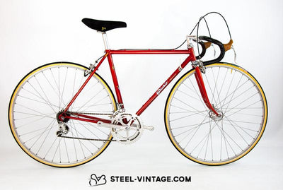 Picchio Special Classic Bicycle 1980 | Steel Vintage Bikes