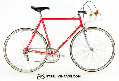 Pinarello Classic Roadbike | Steel Vintage Bikes