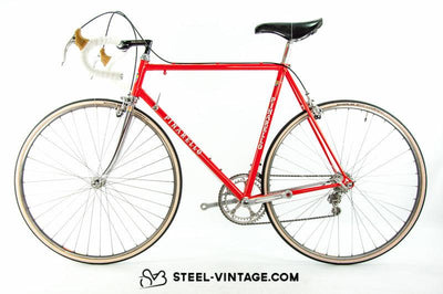 Pinarello Classic Roadbike | Steel Vintage Bikes