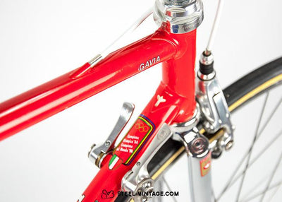 Pinarello Gavia Classic Road Bicycle - Steel Vintage Bikes