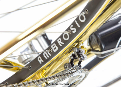 Pinarello Gold Plated Prestigious Road Bicycle 1980s - Steel Vintage Bikes