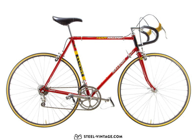 Raleigh Team Professional 531 Road Bicycle 1978 - Steel Vintage Bikes