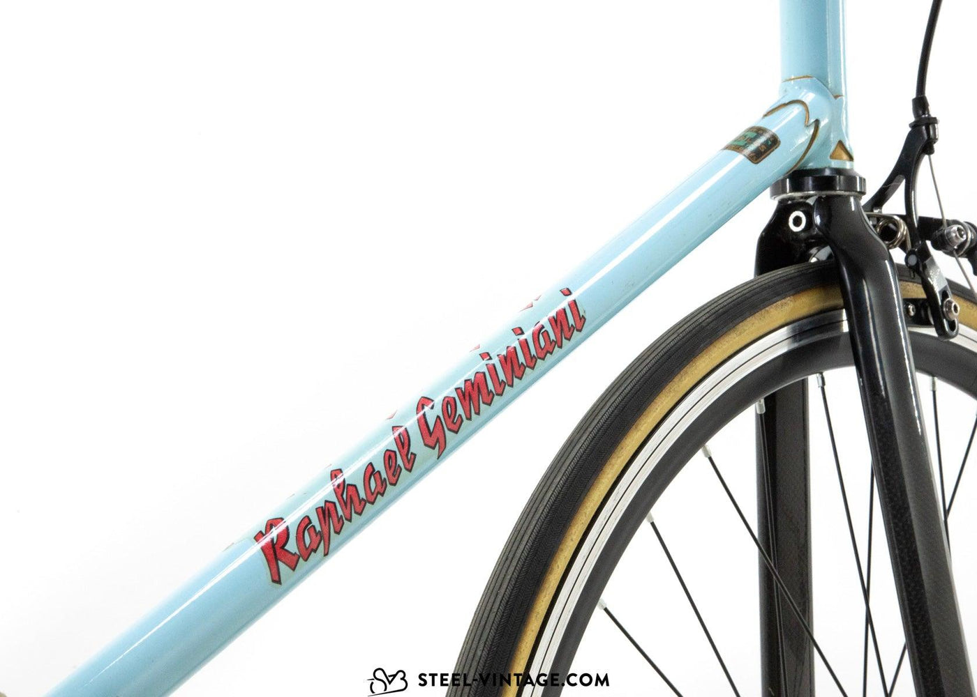 Raphael Geniniani Single Speed Neo Retro Bicycle - Steel Vintage Bikes