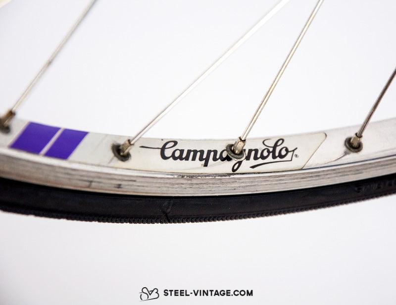 Rare Wilier Triestina Beautiful Classic Racing Bike Cromovelato | Steel Vintage Bikes