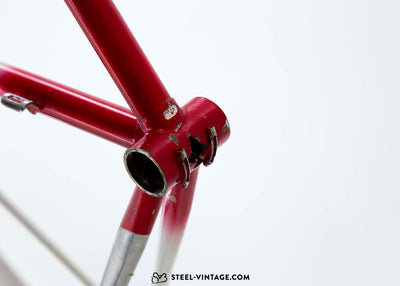 Rauler Special Team Italia Frameset - Steel Vintage Bikes