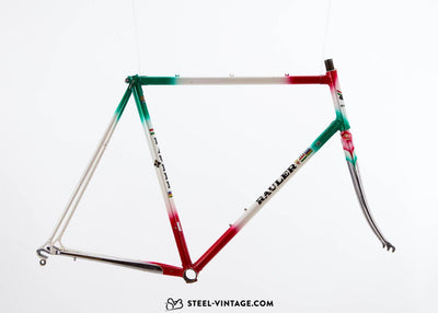Rauler Special Team Italia Frameset - Steel Vintage Bikes