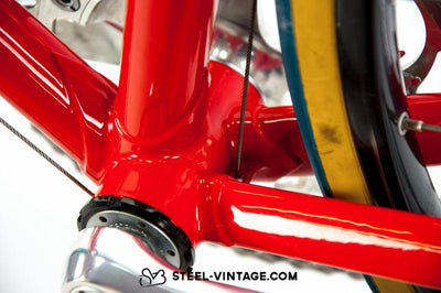 Sannino Excel Team | Steel Vintage Bikes