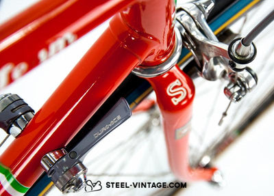 Sannino Excel Team | Steel Vintage Bikes
