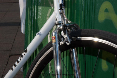 Titan Classic Singlespeed Bicycle | Steel Vintage Bikes