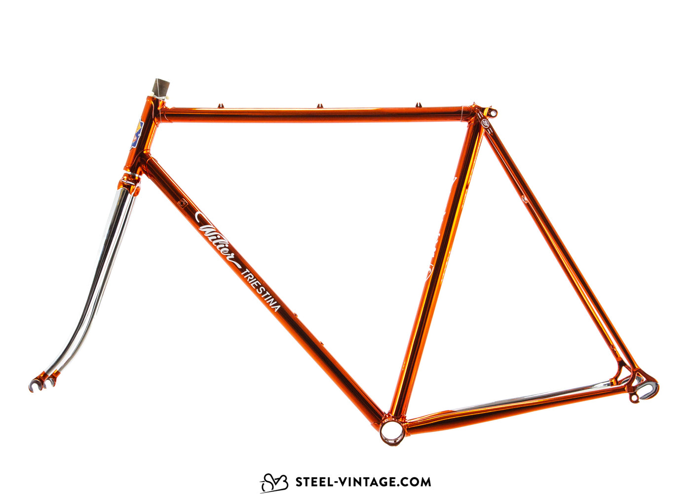 Wilier Triestina Ramata Frameset 1980s