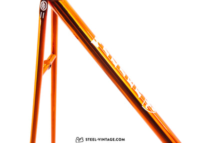 Wilier Triestina Ramata Frameset 1980s