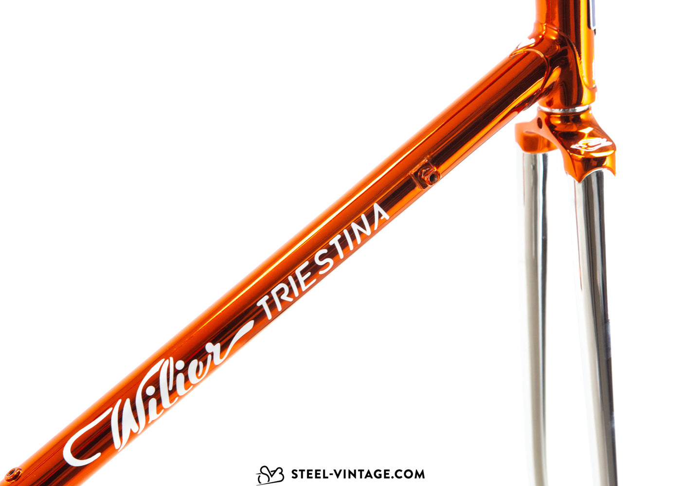 Wilier Triestina Ramata Frameset 1980s