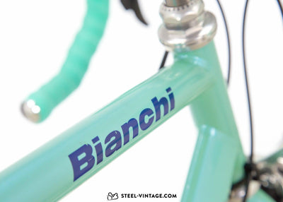 Bianchi Ti-Megatube Titanium Bicycle 1990s - Steel Vintage Bikes