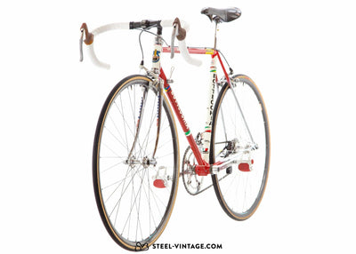 Bottecchia Team Malvor Racing Road Bicycle 1988 - Steel Vintage Bikes